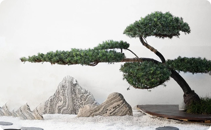 2024 Shanghai (International) Flower Exhibition - Small and Micro Bonsai Exhibition